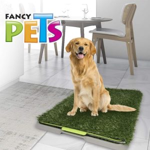 Fancy Pets Doggie Grass Tapete Sintético para Perro Grande