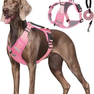 Pechera arnés de seguridad para perro,incluye correa de paseo 1.5m de largo