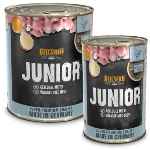 BELCANDO JUNIOR LATA
