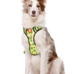 Dukier Avocado Arnés Trail Para Perro