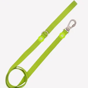 Dukier Lime Correa