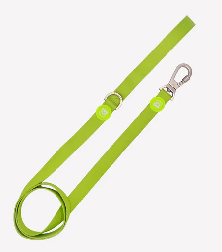 Dukier Lime Correa