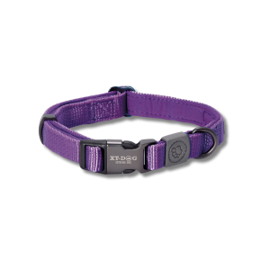 🐕 Collar para Perros XT-DOG Nylon y Neopreno Lila | Resistente, Cómodo y Seguro 💜✨