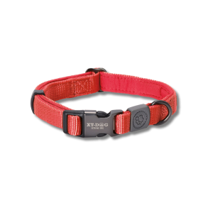 🐕 Collar para Perros XT-DOG Nylon y Neopreno Rojo | Resistente, Cómodo y Seguro 🔴✨
