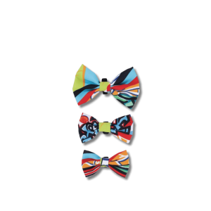 🎀🐾 Pajaritas Urban Style
