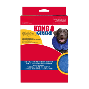 Kong –  Cloud