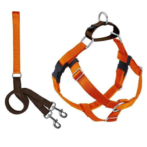 2Hounds Design – Arnés y Correa Naranja Neón/Café L