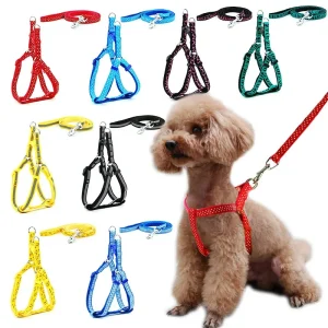 Correa para Perros y Gatos Personalizada en Nylon con Diseño Impreso – Ajustable y Ligera